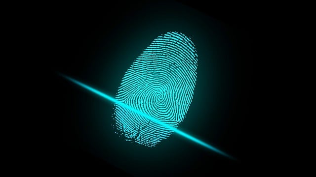 RASSEGNA - Privacy e sistemi di autenticazione biometrica: scenari normativi e strumenti applicativi (Cybersecurity360.it)